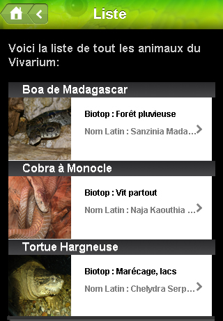 Second Screen