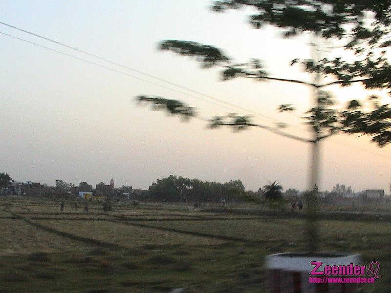 DSC00078.JPG