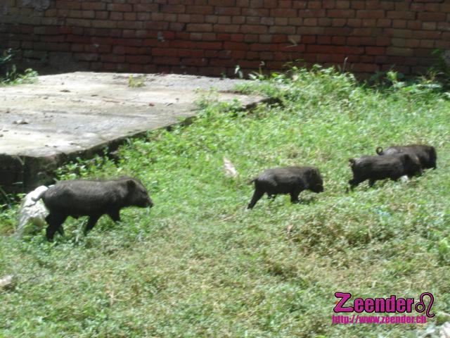 DSC00411.JPG