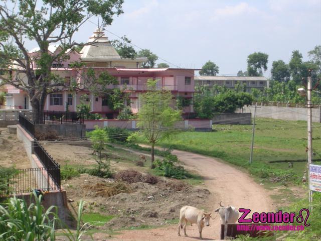 DSC04184.JPG