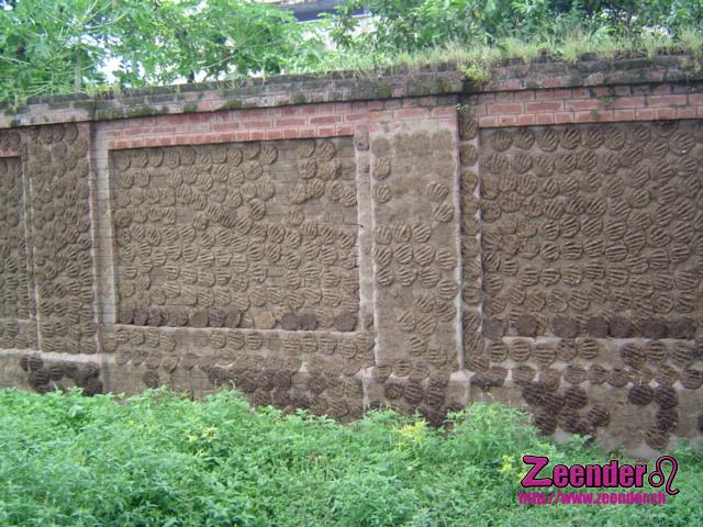 DSC04209.JPG