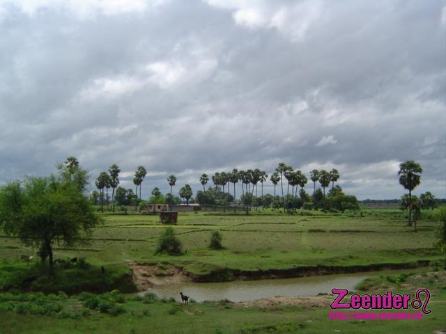 DSC04243.JPG