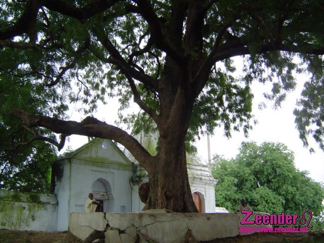 DSC04248.JPG