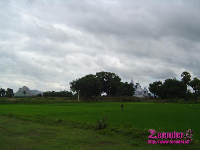 DSC04249.JPG