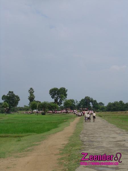 DSC04325.JPG