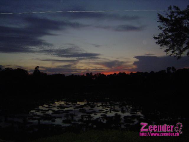 DSC04339.JPG