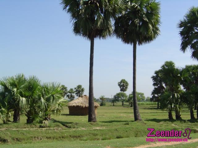 DSC04374.JPG