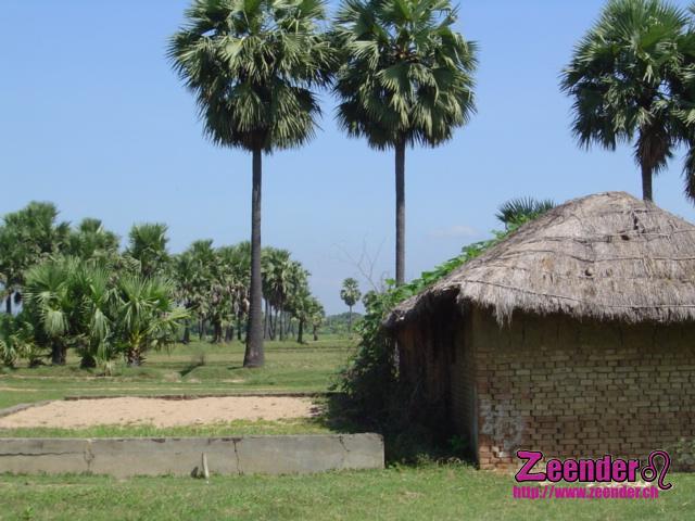 DSC04376.JPG