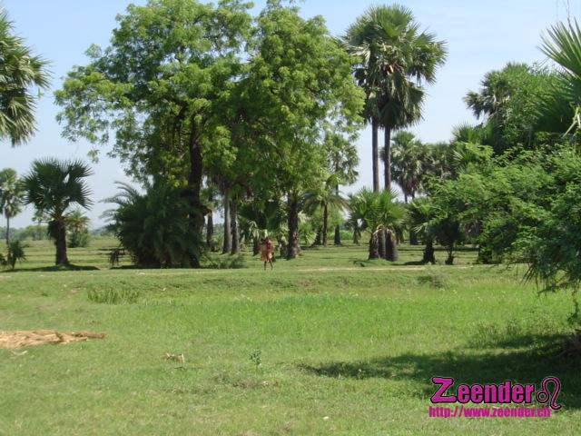DSC04377.JPG