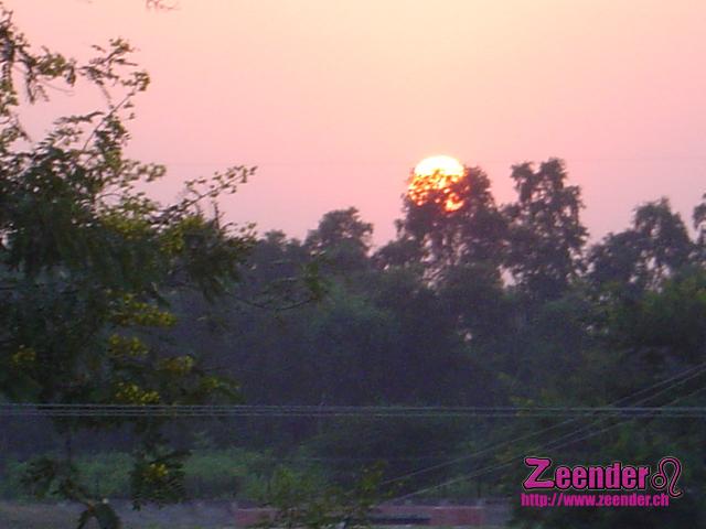 DSC04478.JPG
