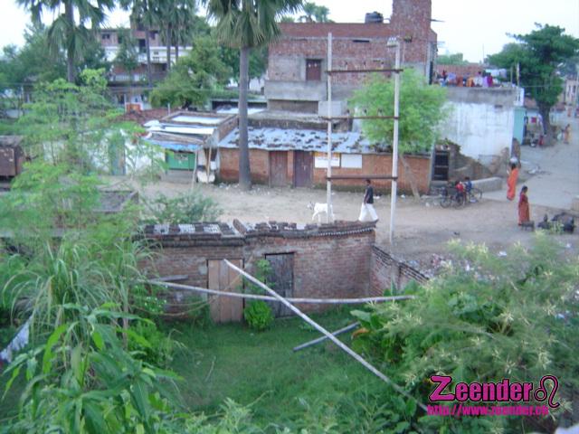 DSC04479.JPG