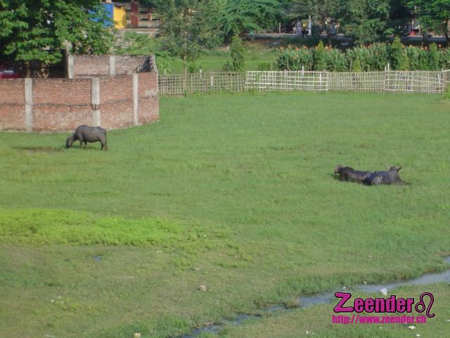 DSC04504.JPG