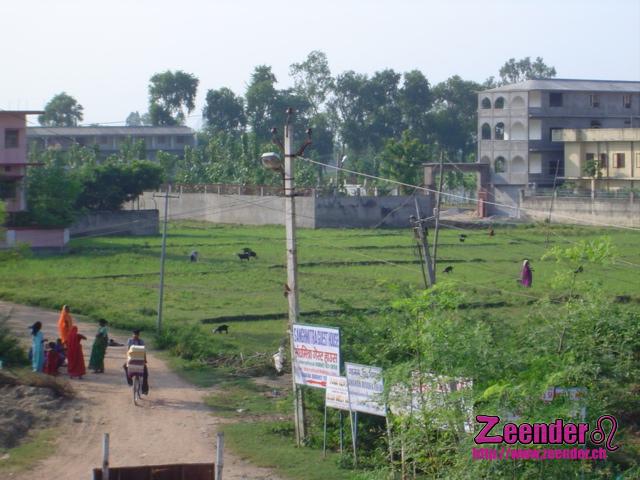 DSC04506.JPG