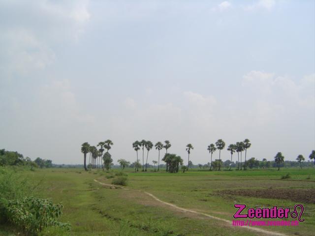 DSC04553.JPG