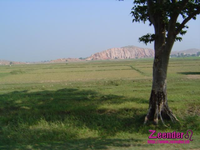DSC04678.JPG