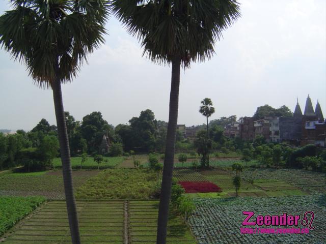 DSC04749.JPG