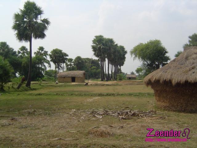 DSC04822.JPG