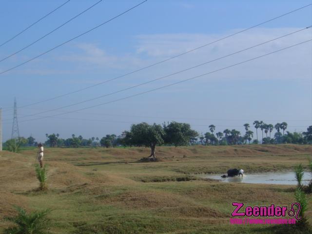 DSC04873.JPG