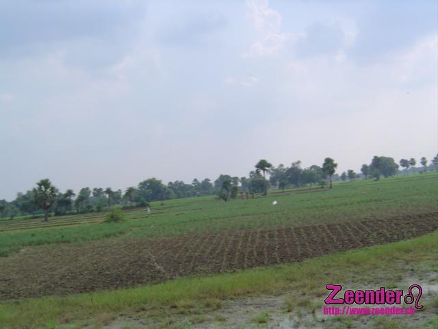 DSC04917.JPG