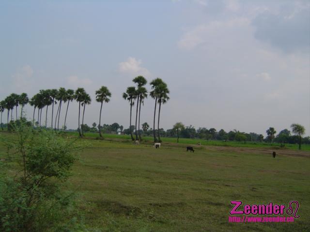 DSC04919.JPG