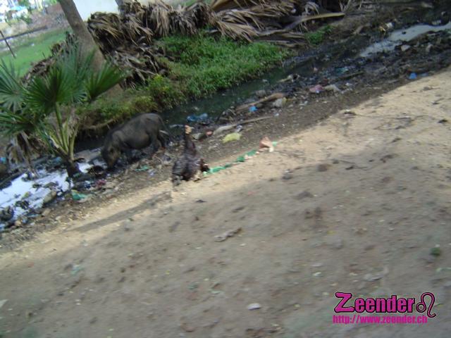 DSC04930.JPG