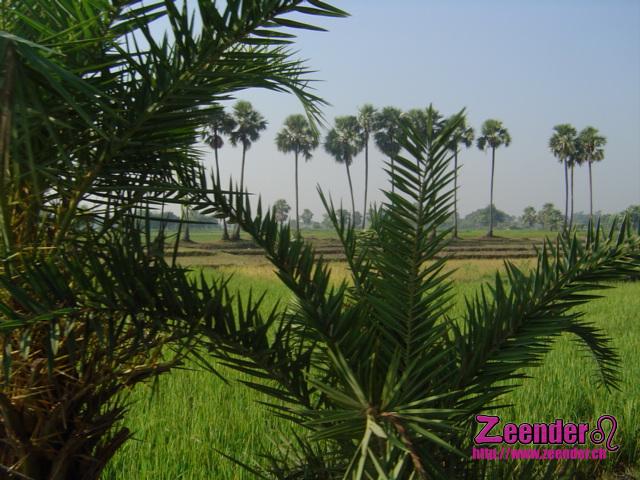 DSC05030.JPG