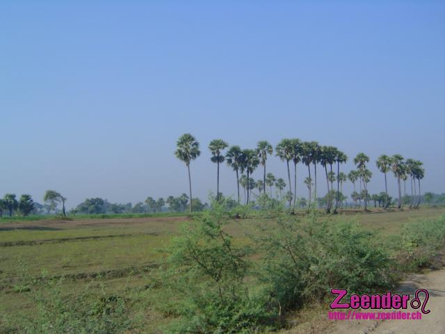 DSC05031.JPG
