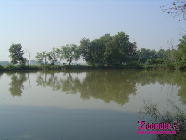 DSC05033.JPG