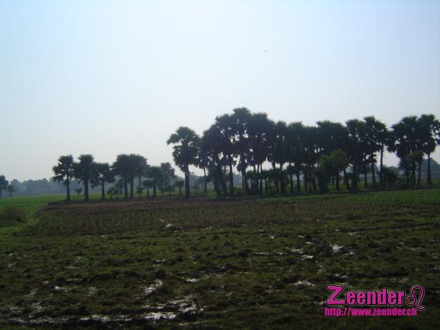 DSC05042.JPG