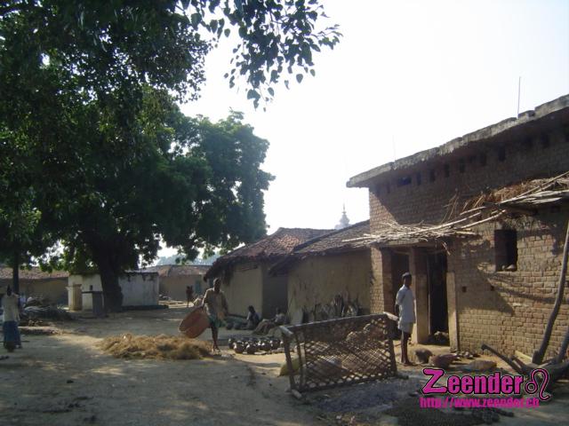 DSC05045.JPG