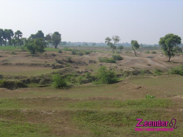 DSC05077.JPG