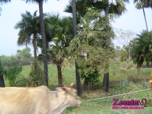 DSC05454.JPG