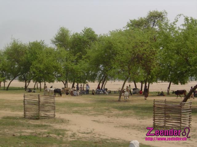 DSC05456.JPG
