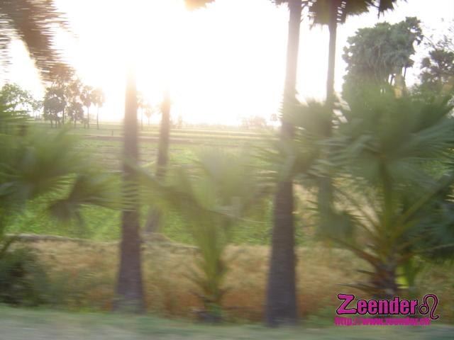 DSC05492.JPG