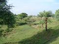 DSC04195
