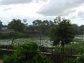 DSC04296