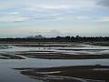 DSC04320