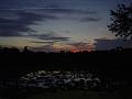 DSC04339