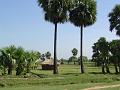DSC04374