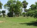 DSC04377
