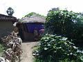 DSC04380