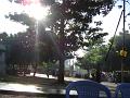 DSC04424