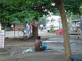 DSC04446