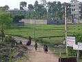 DSC04509