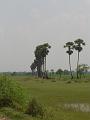 DSC04554