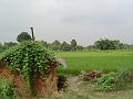 DSC04916