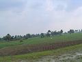 DSC04917