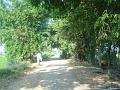 DSC05028