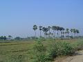 DSC05031