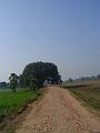 DSC05039